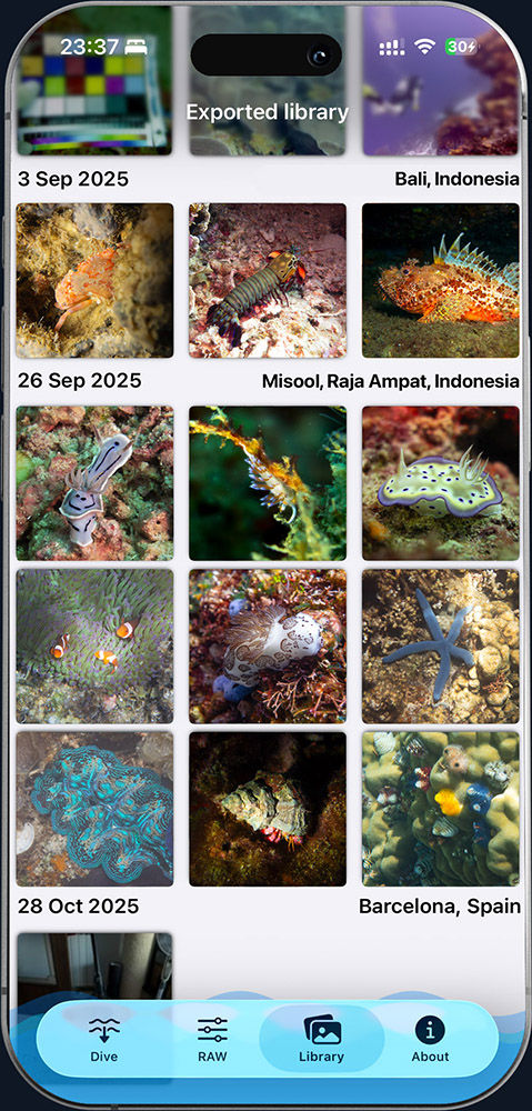 ScubAI library grouped by dive trip: Bali, Raja Ampat, Barcelona