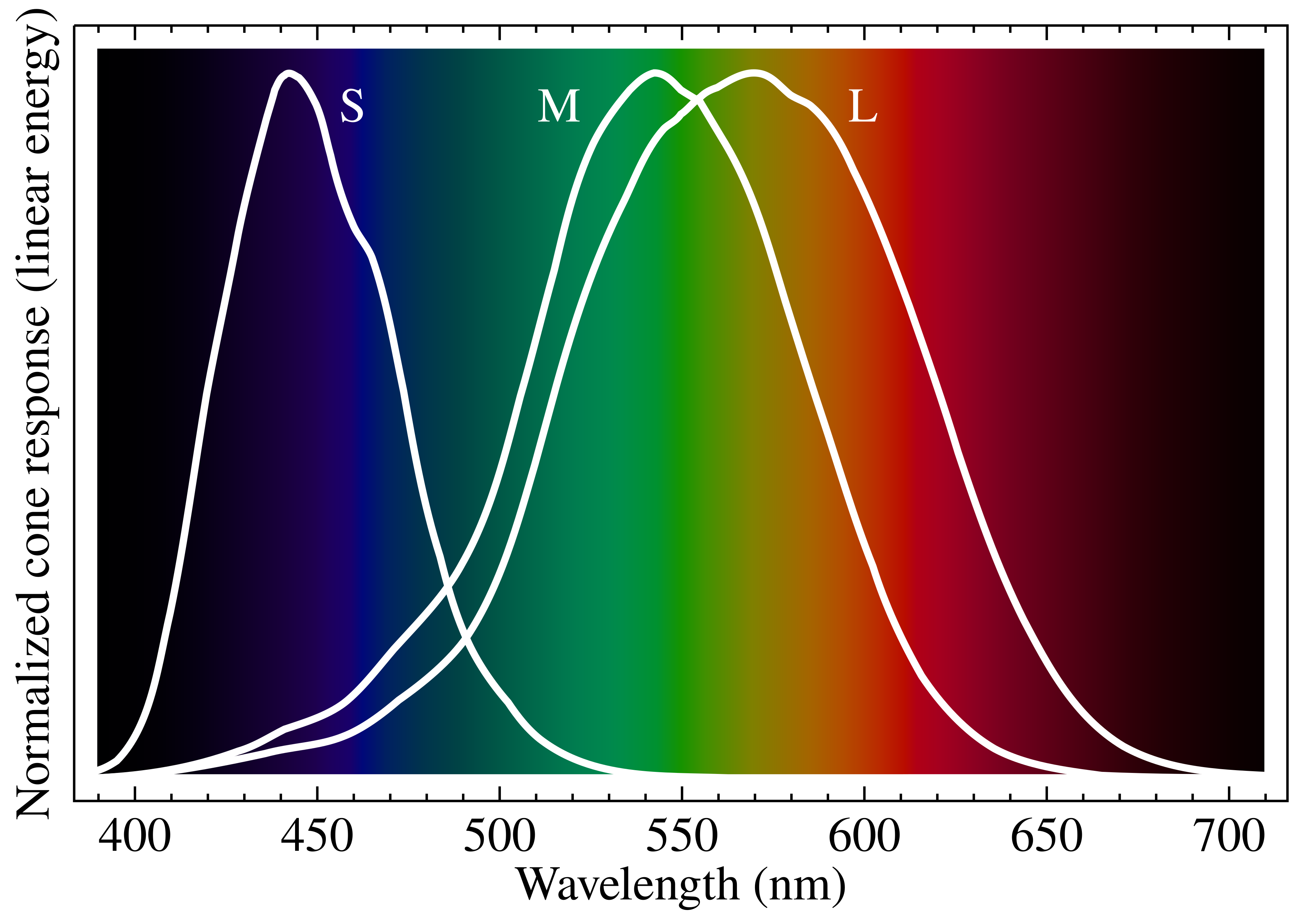 Cone cell spectral sensitivity curves