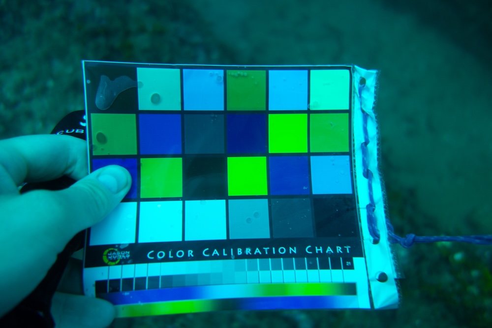 Underwater calibration chart photographed during a dive