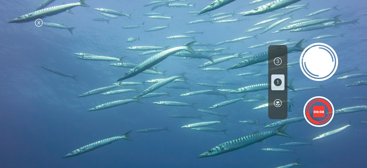 ScubAI camera interface — full-screen viewfinder