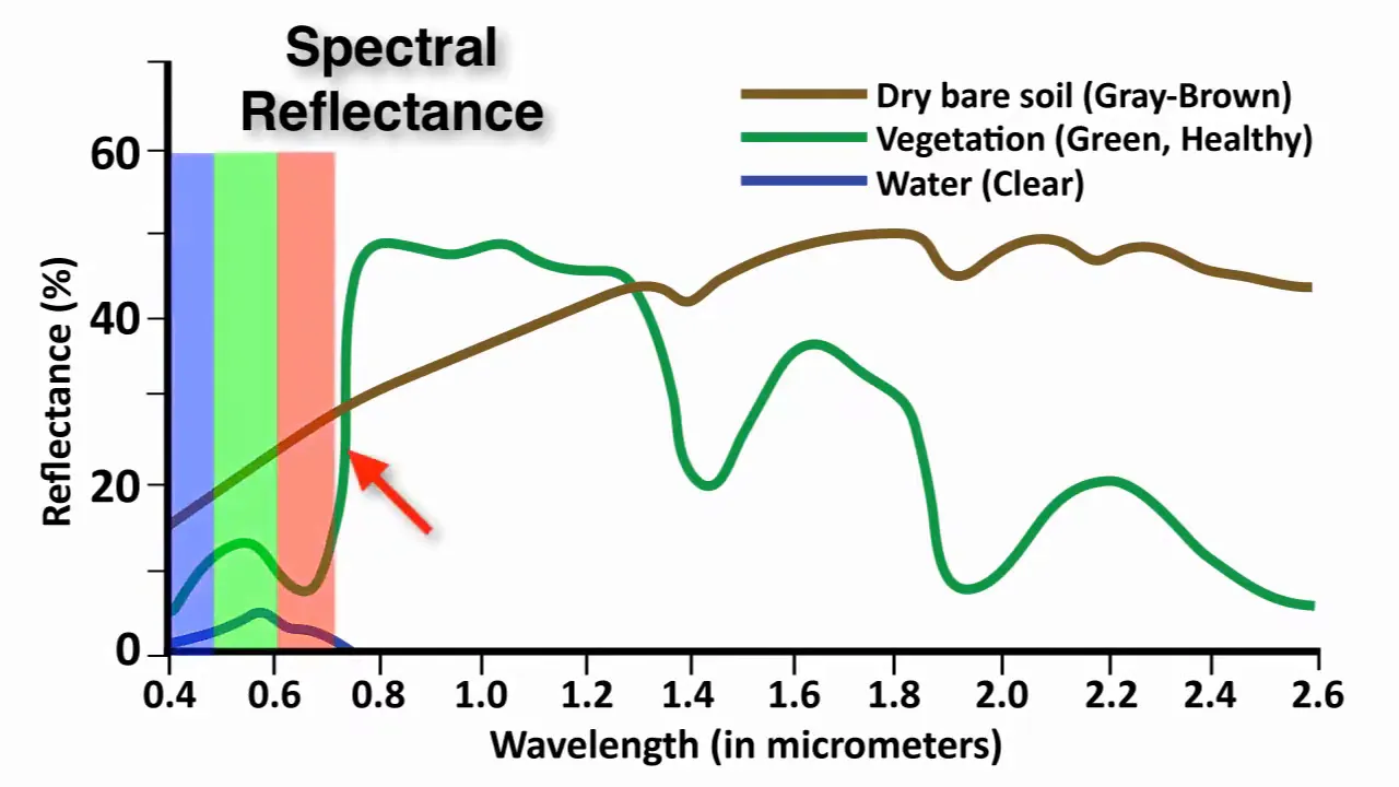 Spectral reflectance curves of vegetation, soil, and water