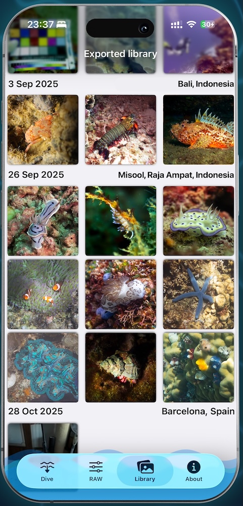 Photos organized by dive site